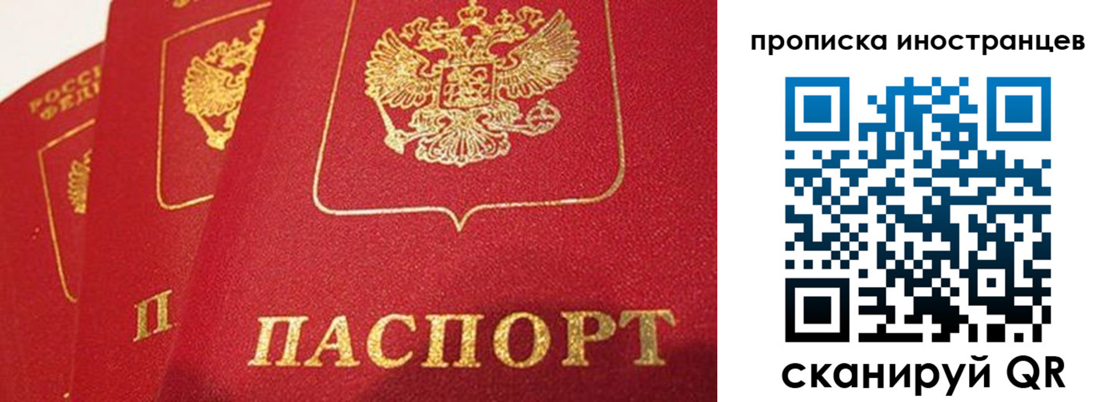 прописка поиск в Одинцово